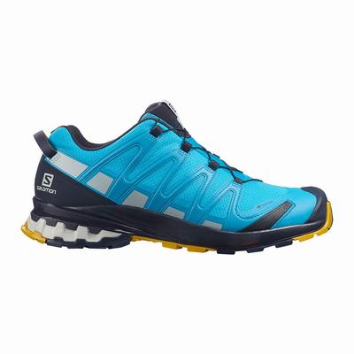 Férfi Salomon XA PRO 3D v8 GORE-TEX Terepfutó Cipő SA7056239 Kék